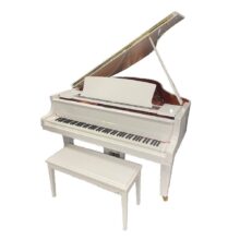 Yamaha DC2X 173cm Disklavier Grand Piano (DC2XENSTPWH) Polished White