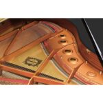 Yamaha DGCBENSTPE Disklavier Grand Piano Polished Ebony (DGCBENSTPE) - Image 5