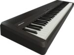 Roland FP-40 Digital Piano Black (FP40BK)